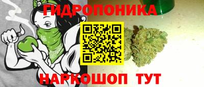 дурь Гатчина