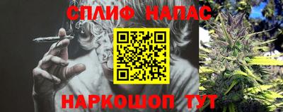 дурь Гатчина