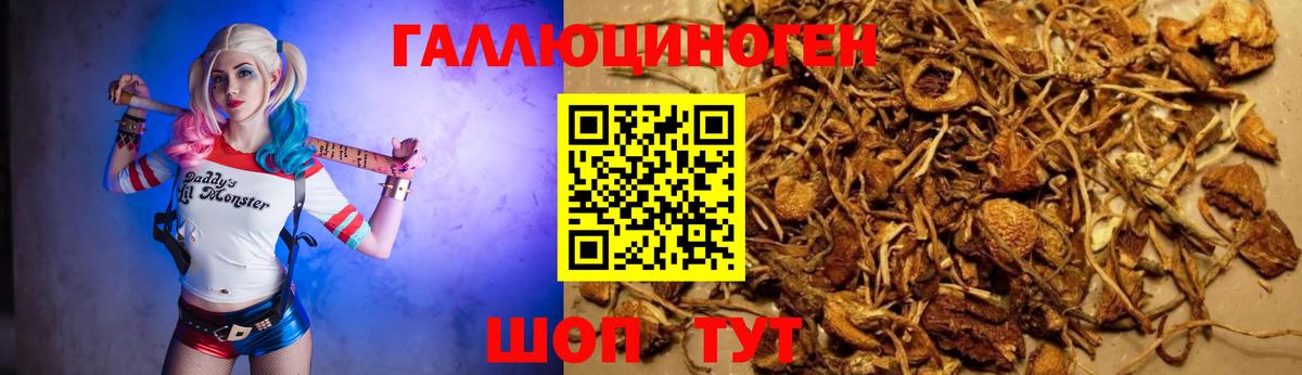 Псилоцибиновые грибы прущие грибы  продажа наркотиков  Тверь  Вход с VPN 