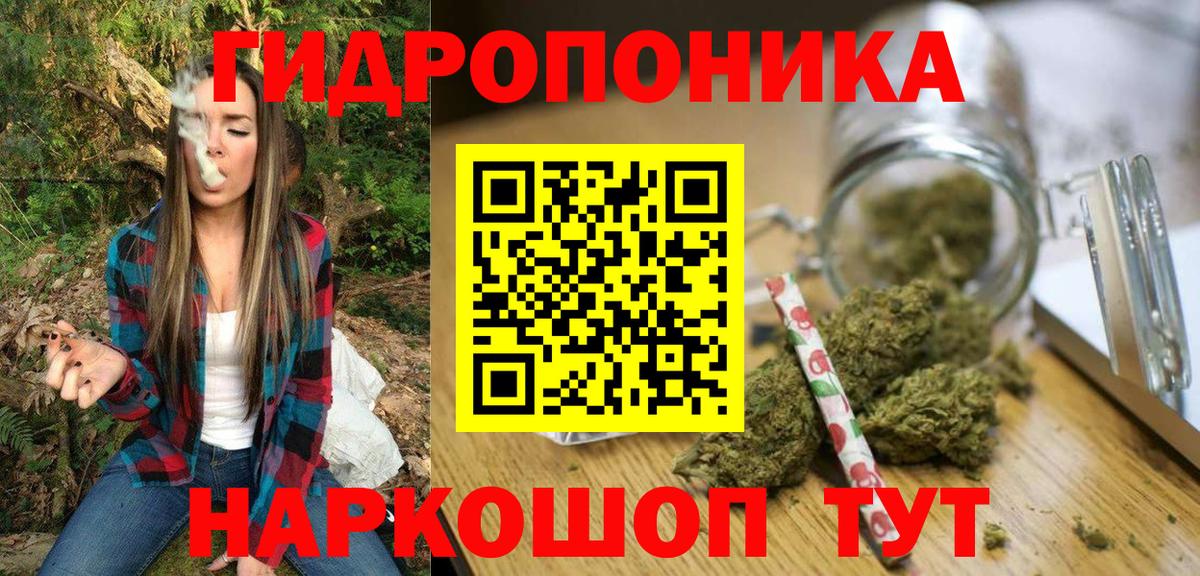 Тверь  Бошки марихуана тримм  Вход с VPN  Шишки марихуана планчик  Марихуана тримм 